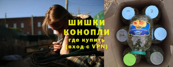 крисы Белоозёрский