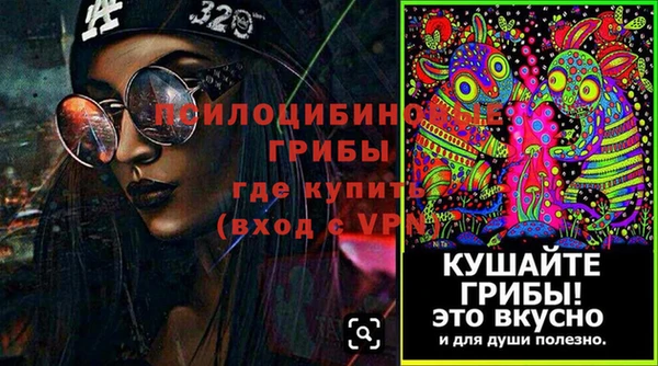 крисы Белоозёрский