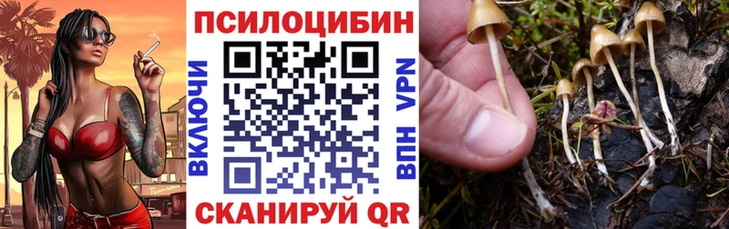 Галлюциногенные грибы GOLDEN TEACHER  mega   Пыть-Ях  купить наркотик 
